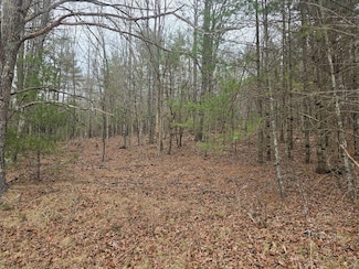 TBD Taylors Chapel Rd, Fries, VA 24330