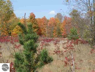 Lot 10 Roberts Rd Unit 10, Beulah, MI 49617