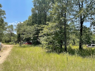 10376 Gaillard Woods W, Wills Point, TX 75169