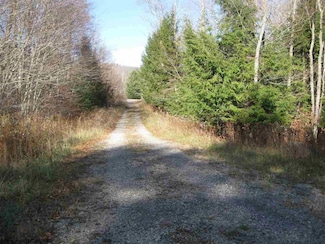 lot 49 Mountain View Road Dr, Davis, WV 26260