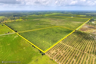 5015 Fish Branch Rd, Zolfo Springs, FL 33890