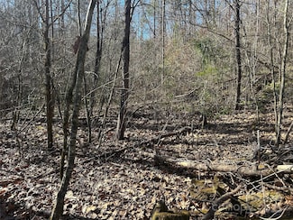 0000 Ham Creek Rd, Union Mills, NC 28167