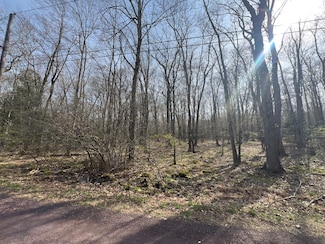 lot 1010 Beaver Run, Tobyhanna Township, PA 18347