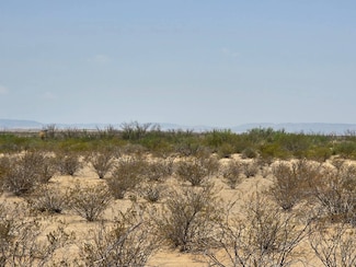 600 Flat Tire Rd, Terlingua, TX 79852