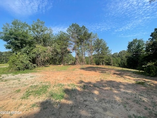 0 Johnstonville Rd Unit 175871, Forsyth, GA 31029