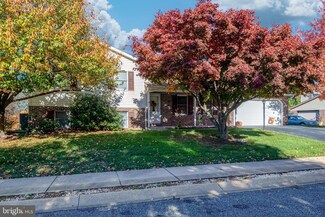 333 Buchanan Dr, Ephrata, PA 17522