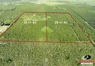 0 Davis Rd, Folkston, GA 31537