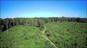 0 Highway 7, Danville, AR 72833