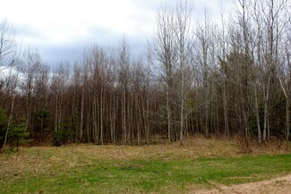 0 Burnt Hill Rd Unit 164679, Saranac, NY 12981