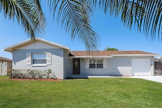 1317 Meadowbrook St, Kissimmee, FL 34744