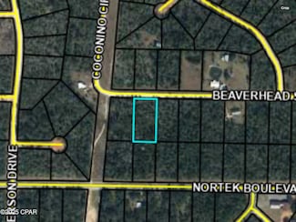 0000 Beaverhead St, Alford, FL 32420