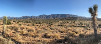 11640 Fort Tejon Rd, Pearblossom, CA 93553