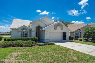 9178 Rhett Ln, Weeki Wachee, FL 34613