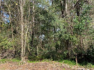 000 NW 159th Place, Alachua, FL 32615