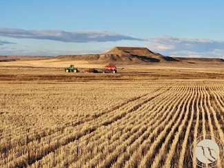 TBD Gee Rd, Rapelje, MT 59067