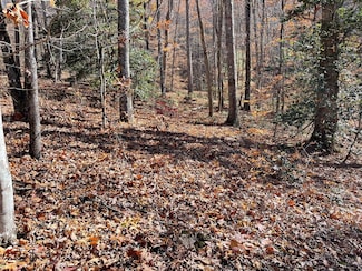 70J Ash Branch Cir, Hayesville, NC 28904