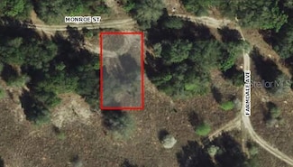 2305 Monroe St, Inverness, FL 34453
