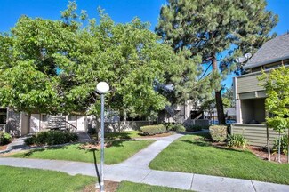 520 Shadowgraph Dr, San Jose, CA 95110