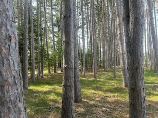 ON Illinois Rd Unit Lot 2, Eagle River, WI 54521