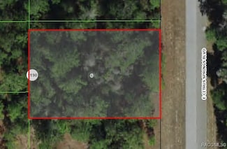 1471 E Citrus Springs Blvd, Citrus Springs, FL 34434