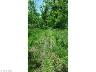 55234 Northstar Rd, Pleasant City, OH 43772