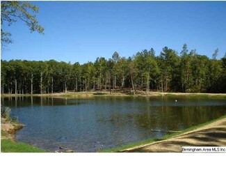 0 Old Highway 280 Unit 522136, Westover, AL 35147