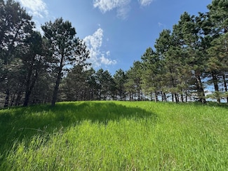 75a Hines Rd NE, Hines Township, MN 56647