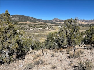 0 East Creek Unit 2624805, McGill, NV 89301