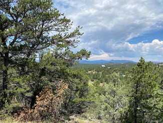 236 Marion Ln Unit 63, Cotopaxi, CO 81223