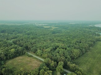 0 Paradise Lake Rd Unit 17044783, Vandalia, MI 49095