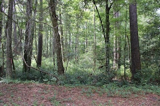0 Geddisville Rd, Adams Run, SC 29426