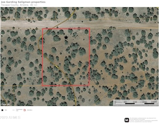 32741 Forest Ln Unit 1843, Seligman, AZ 86337