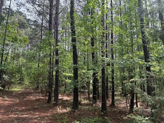 0 Dudleyville Rd Unit 23509896, Dadeville, AL 36853