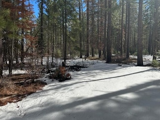 0 Frontier Tracts B & C Unit Lot 219 220161941, Klamath Falls, OR 97601