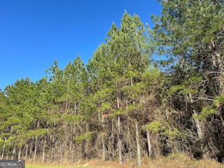 0028 Mount Zion Rd, Gordon, AL 36343
