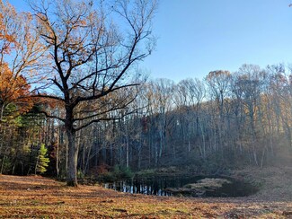 0 Floyd S Unit 885483, Floyd, VA 24091