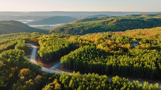 1147 Topo Dr, Guild, TN 37340