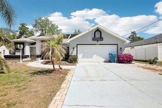 10021 Elgin Blvd, Spring Hill, FL 34608