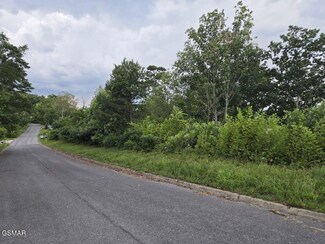 Lot 3 Shell Mountain Rd, Sevierville, TN 37876