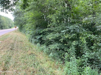 0 Hwy 35 N Unit 4115878, Forest, MS 39074