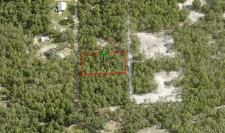 3698 S Chicory Terrace, Inverness, FL 34450
