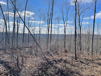 1820 Sulphur Springs Hollow Rd, Somerset, KY 42501