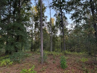 00 Hillbridge Rd, Dublin, GA 31021