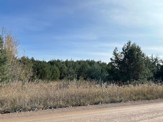 0 Indian Trail Rd Unit 201833400, Cheboygan, MI 49721