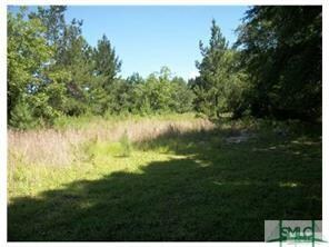 0 Pitts Rd, Newington, GA 30446