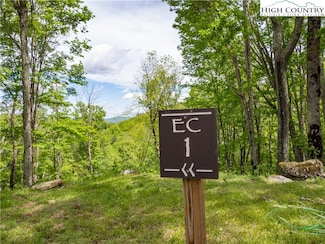EC1 Eagle Crest Trail, Elk Park, NC 28604