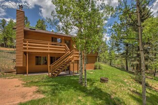4036 Omer Ln, Divide, CO 80814