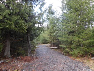 472 Cannon Rd, Packwood, WA 98361