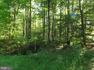 000 Mine Spring Rd, Upper Black Eddy, PA 18972
