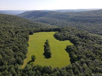 0 Cr 168 Unit 25028056, Deer, AR 72628